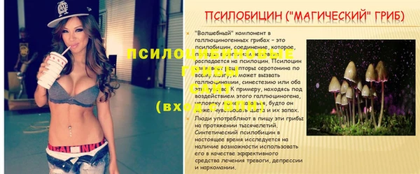 метадон Дмитриев